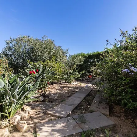 Front View Flat With Terrace