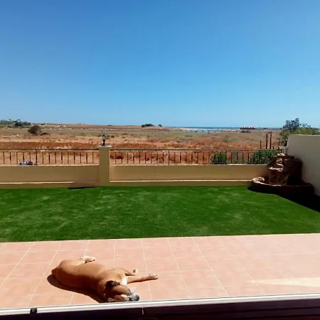 Apartment Front View Flat With Terrace