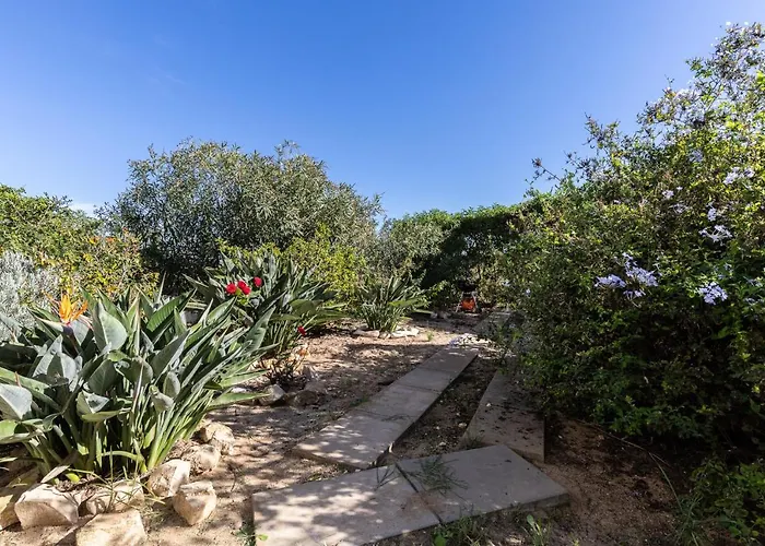 Front View Flat With Terrace